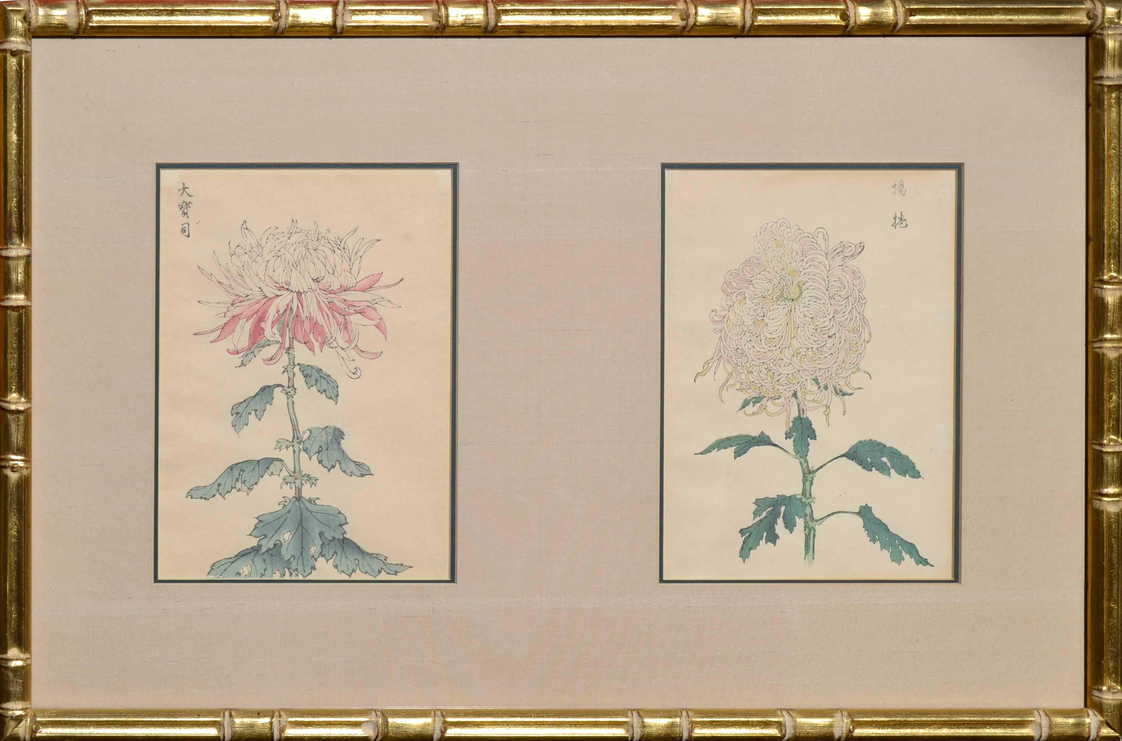Gessai Gabimaru Still-Life Print - Late 19th Century Botanical Japanese Woodcuts -- Two Chrysanthemums