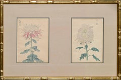 Late 19th Century Botanical Japanese Woodcuts -- Two Chrysanthemums