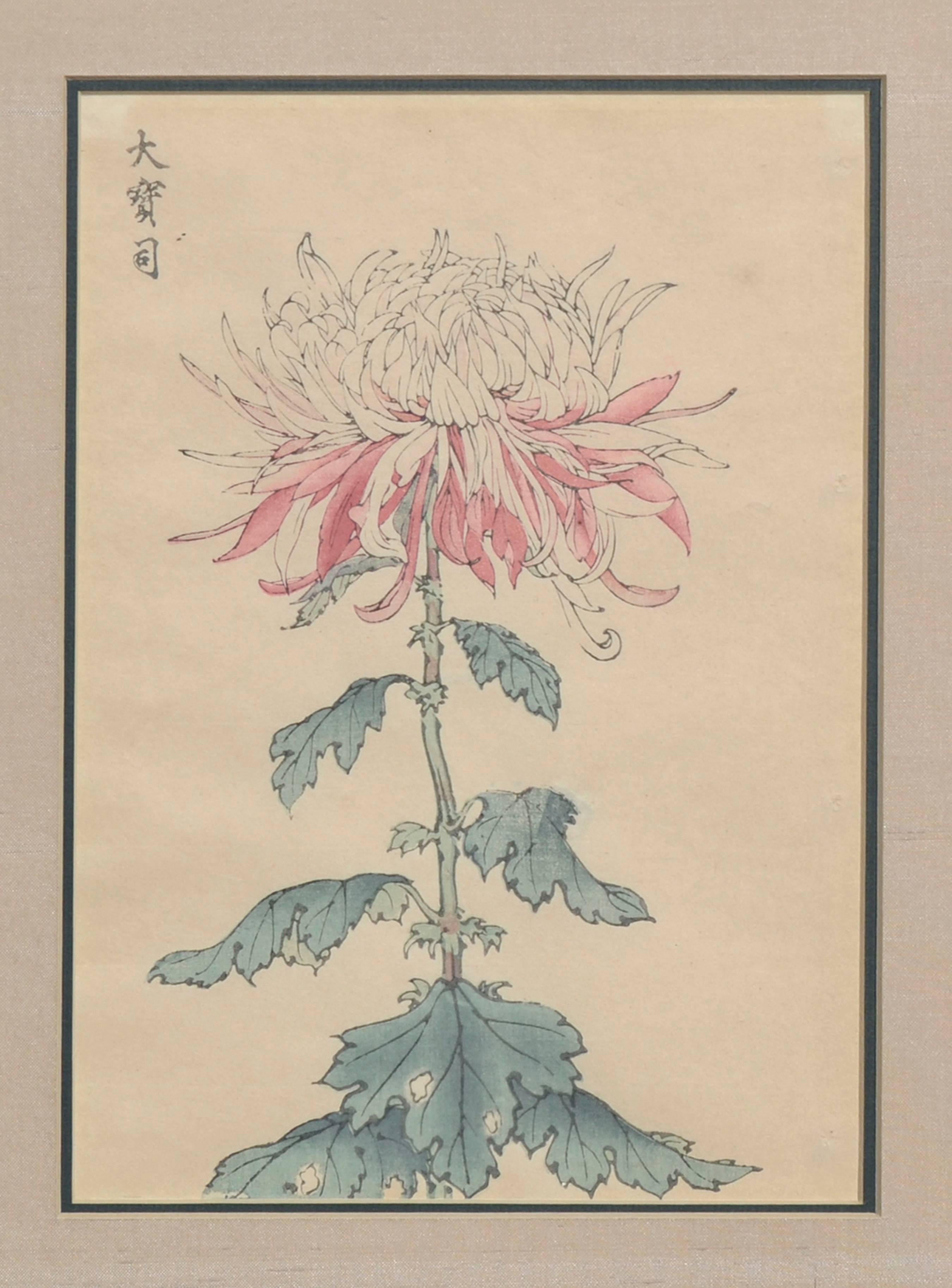 Late 19th Century Botanical Japanese Woodcuts -- Two Chrysanthemums - Print by Gessai Gabimaru