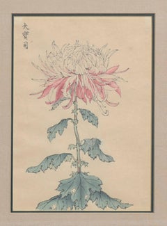 Late 19th Century Botanical Japanese Woodcuts -- Two Chrysanthemums