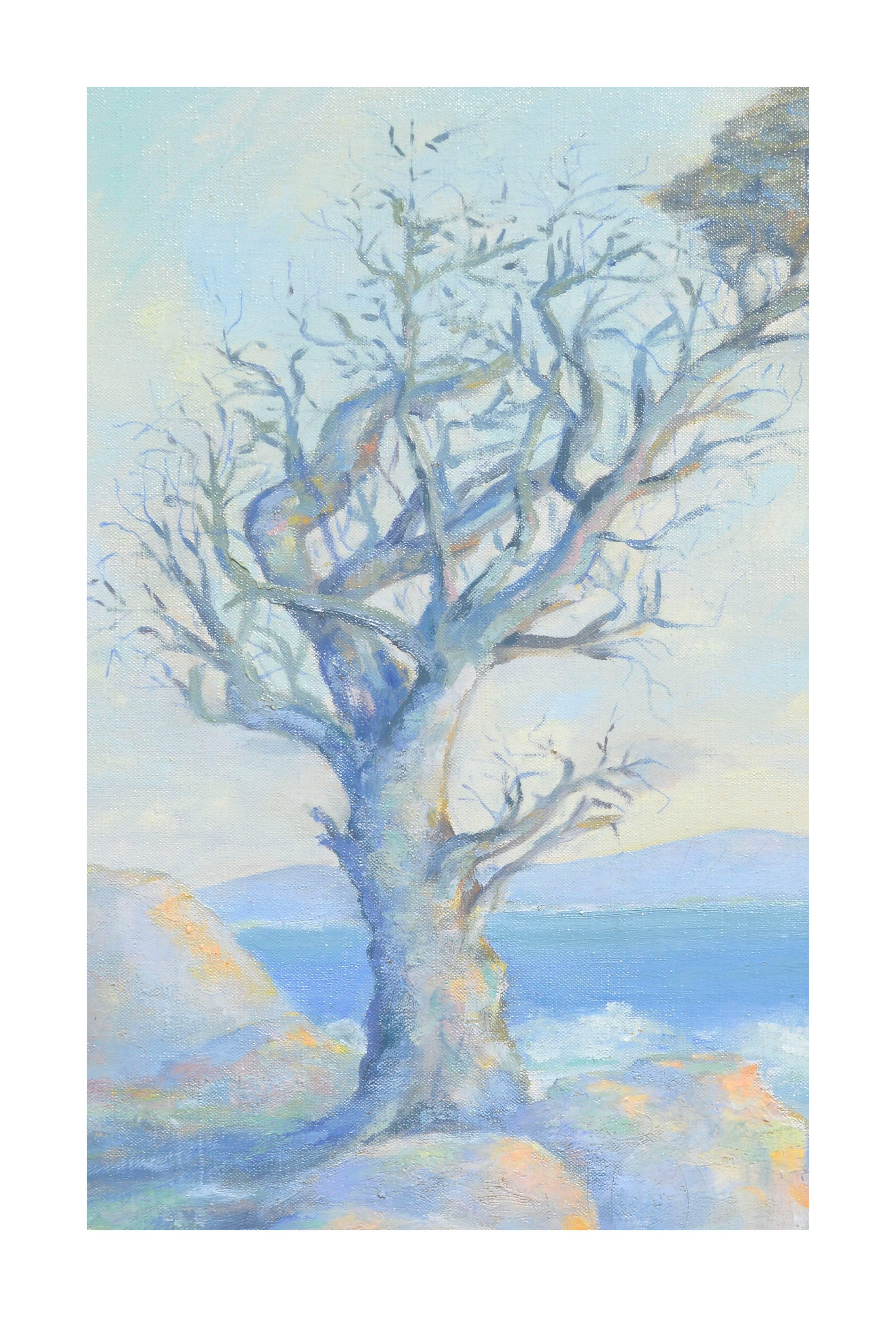 Early 20th Century Monterey Cypress Tree - Painting by P. M. Anderson