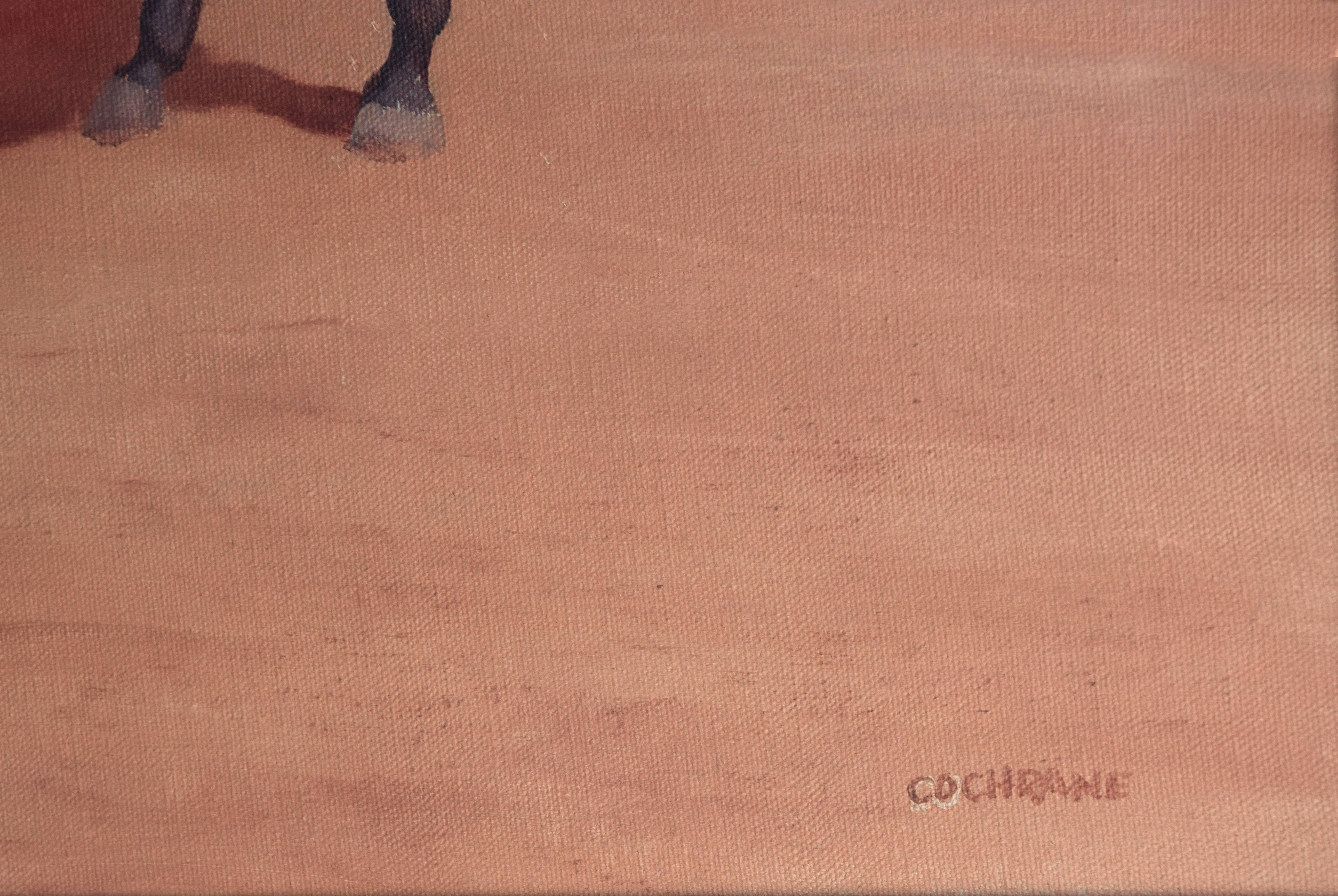 kate cochrane artist