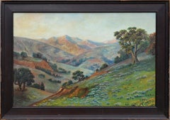 California Meadow and Mountains - Early 20th Century Landscape with Wildflowers 