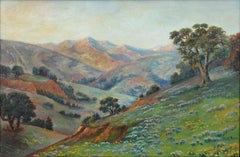 California Meadow and Mountains - Early 20th Century Landscape with Wildflowers