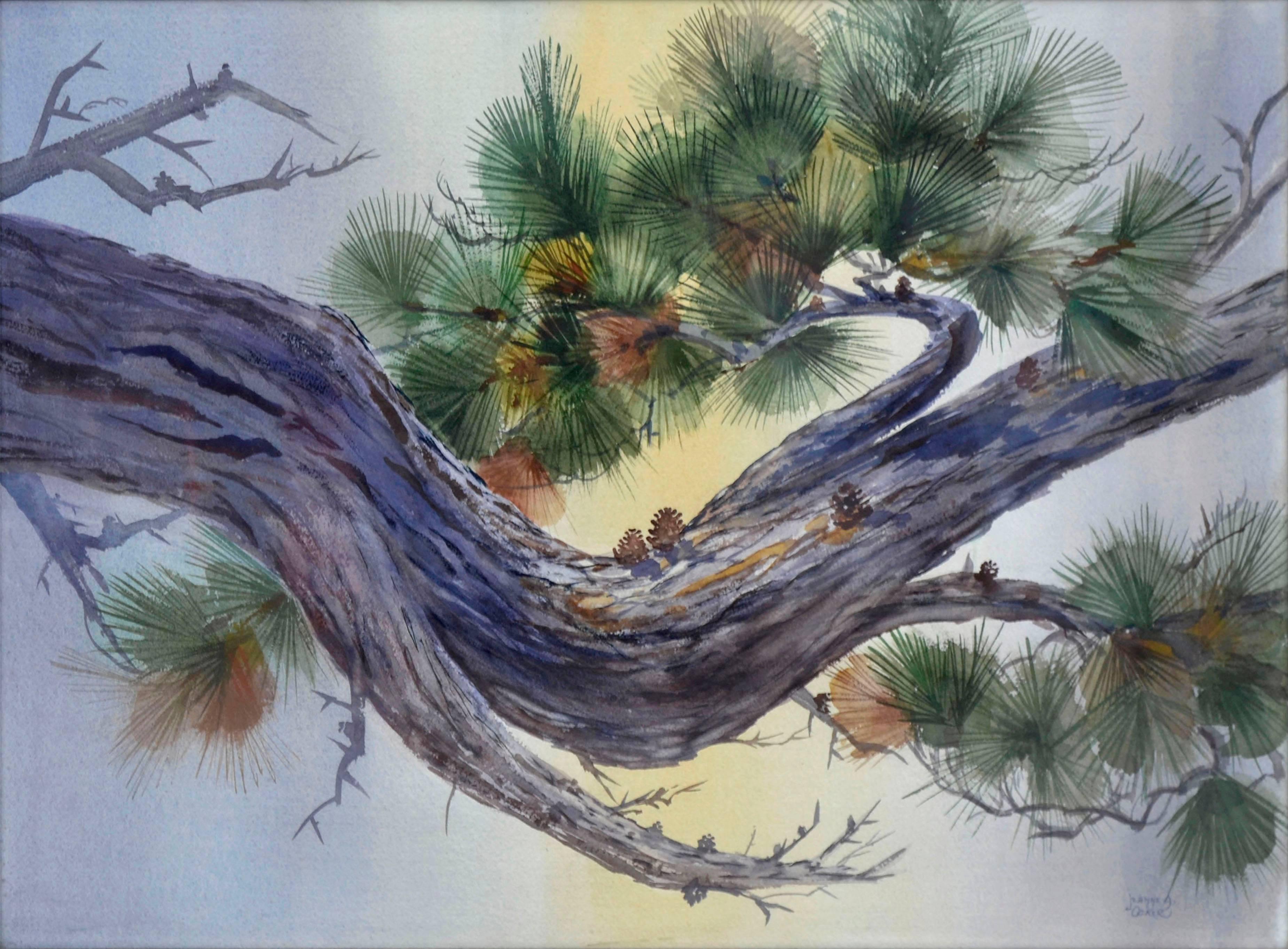 Carmel Pine Bough - Painting by Jeanne A. Ocker
