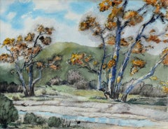 Mid Century Southern California Landscape