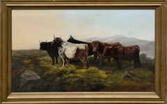 Antique Highland Cattle in Pasture by George Bates