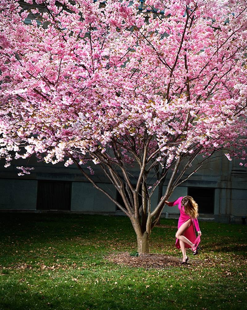 David Drebin Color Photograph - Pink Moment