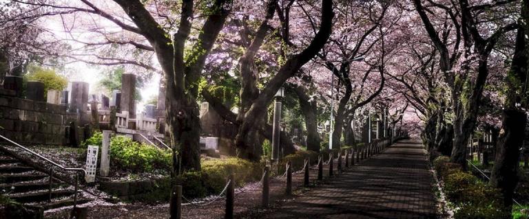 David Drebin Color Photograph - Road to Pink