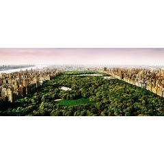 Central Park 7