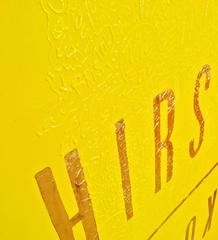 Over Series: H I R S T · K O O N S, 2017