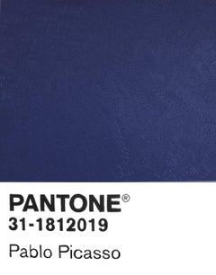 Birktone Series: PABLO PICASSO