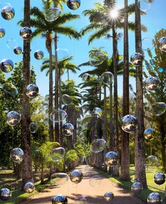 Jardin botanique 4