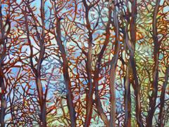 Ethereal Woods