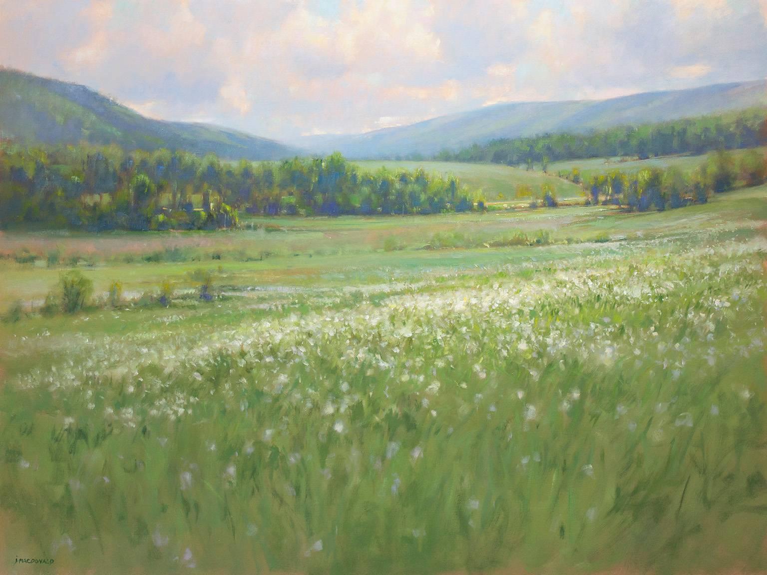 John MacDonald Landscape Painting - Dandelions Summer End