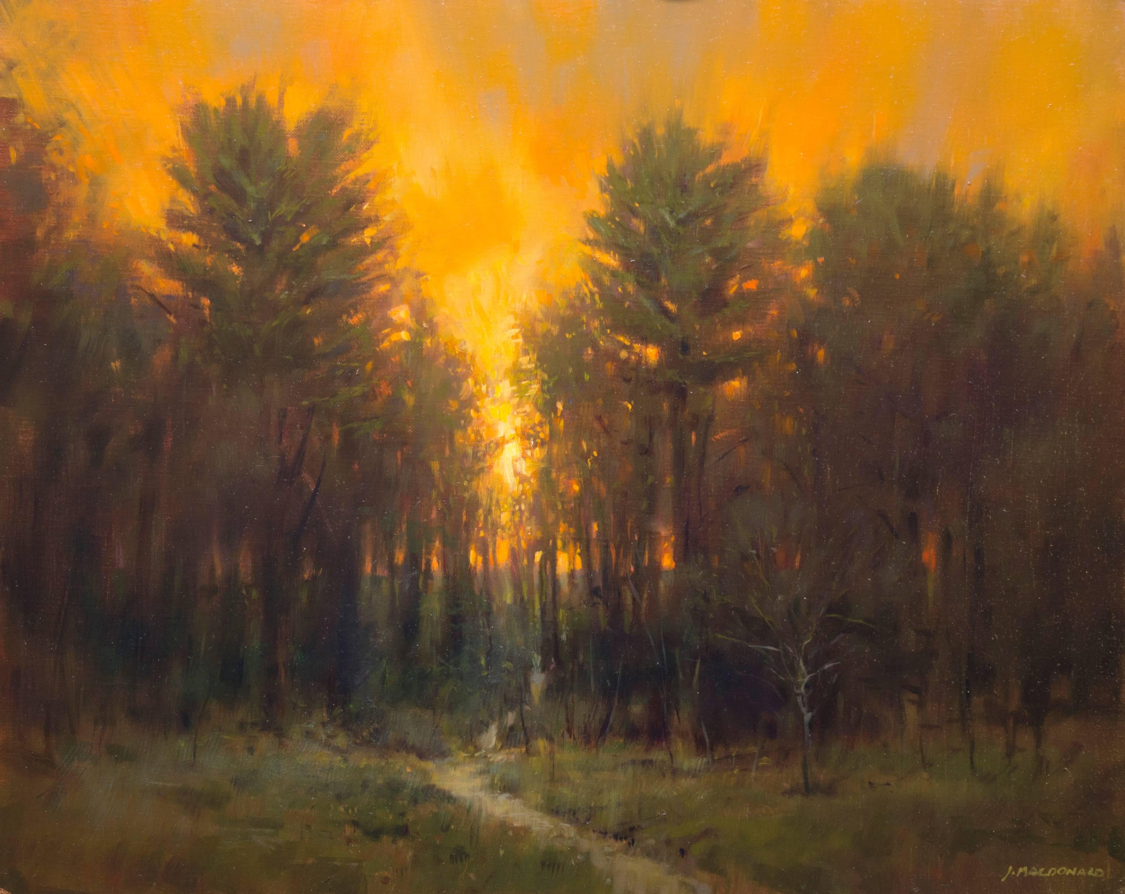 John MacDonald Landscape Painting - Sunset Hillside