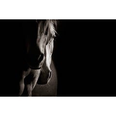 Stand by Me (series) 10