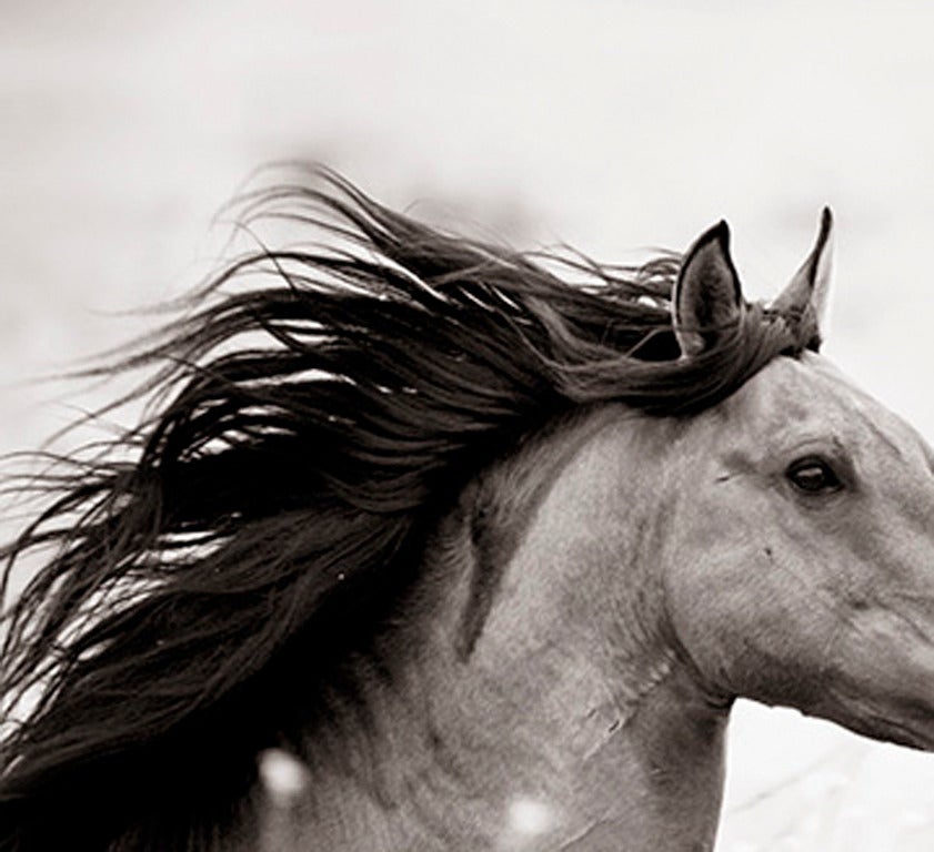 black and white western photography