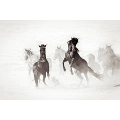 Wyoming Renegades II 9