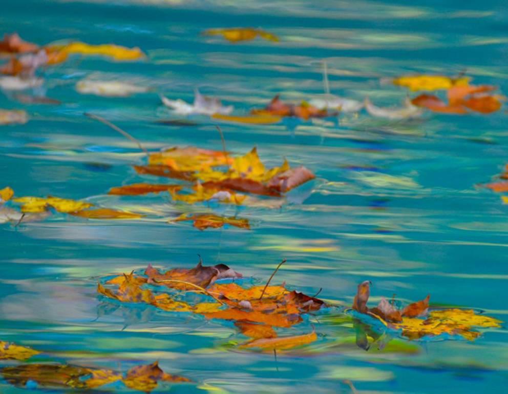 Passing Thoughts (Series) - Photograph by Jeanna Shepard