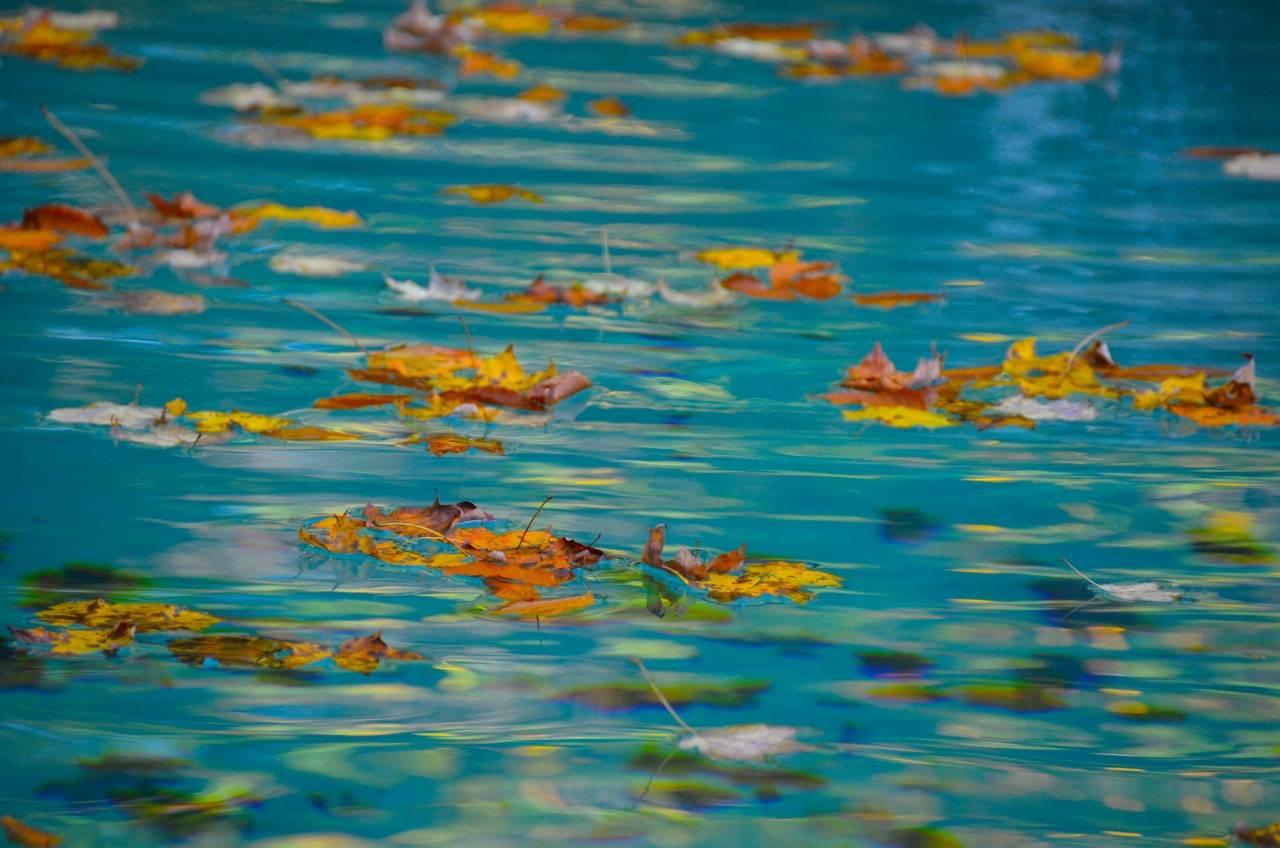 Jeanna Shepard Abstract Photograph - Passing Thoughts (Series)