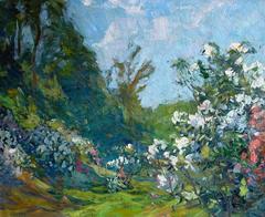 Rhododendrons