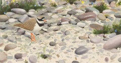 RINGED PLOVER