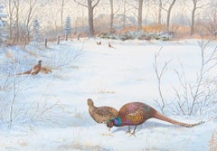 PHEASANTS IN THE SNOW