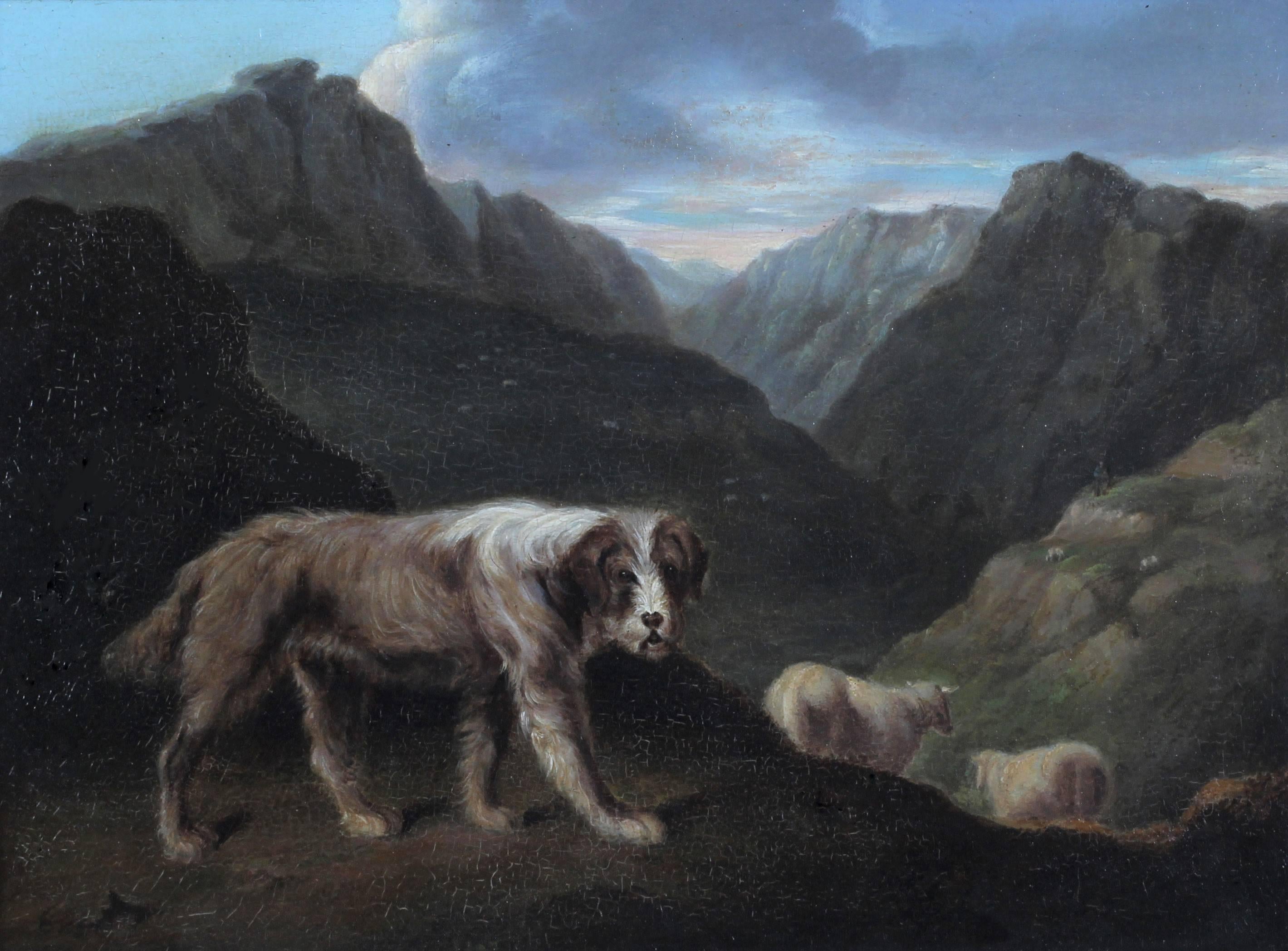 Samuel Raven Animal Painting - Sheepdog