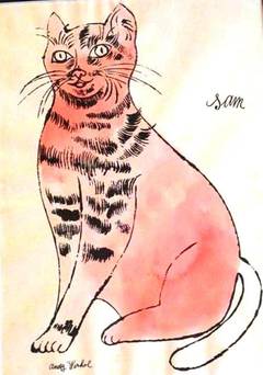 Sam (Pink)