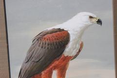 Photorealist Eagle Painting