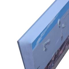 "In Transit", Surreal Seashells and Maple Seeds