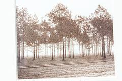 "Morning Near Smithville" Pen and Ink Landscape Drawing