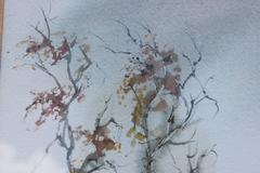 Deep Tonal Desert  Landscape