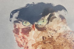 Owl On Branch Print Edition 92/120