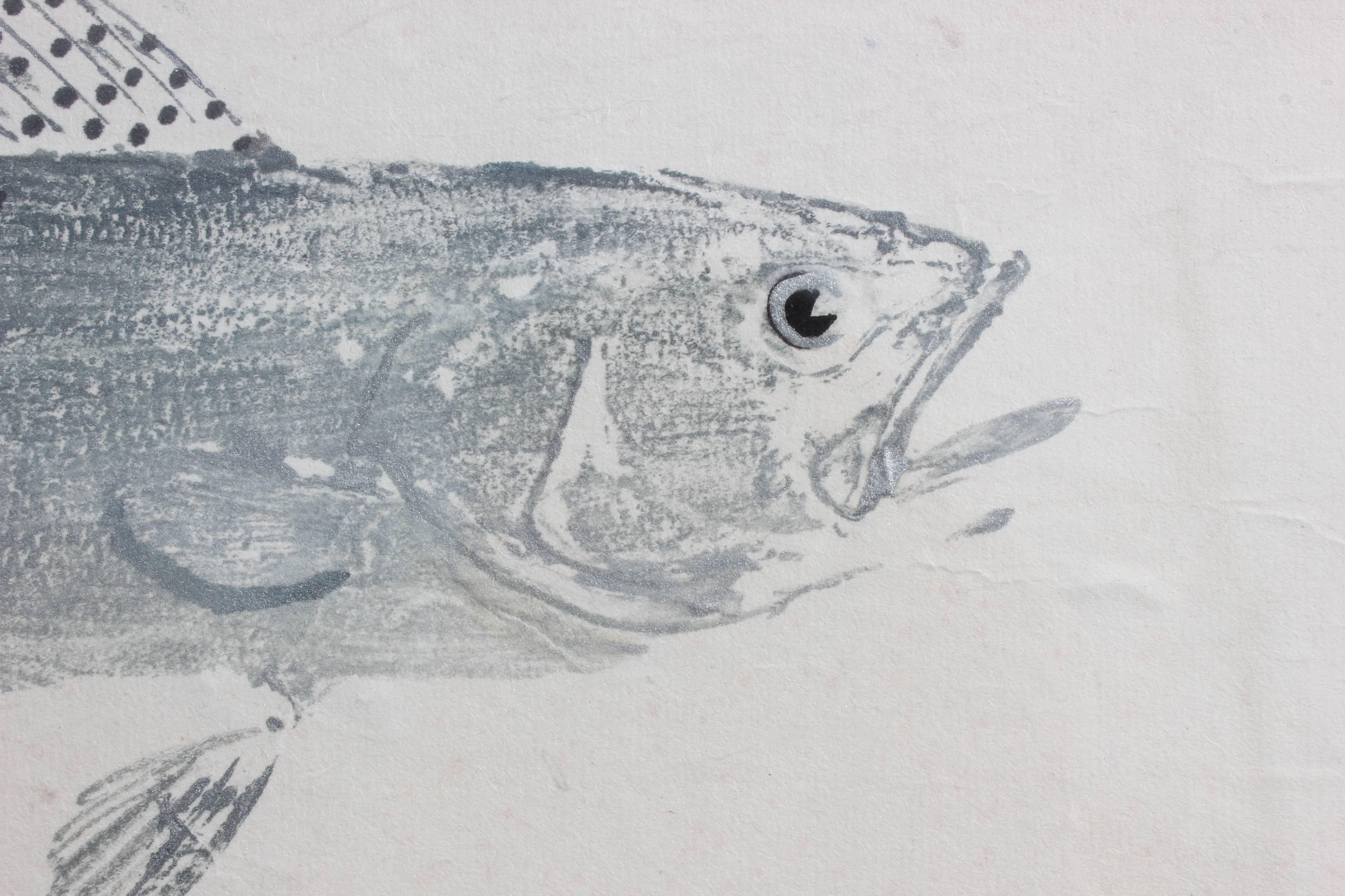 This is an original Gyotaku piece. It is the traditional Japanese method of printing fish, a practice which dates back to the mid-1800s. This form of nature printing may have been used by fishermen to record their catches, but has also become an art