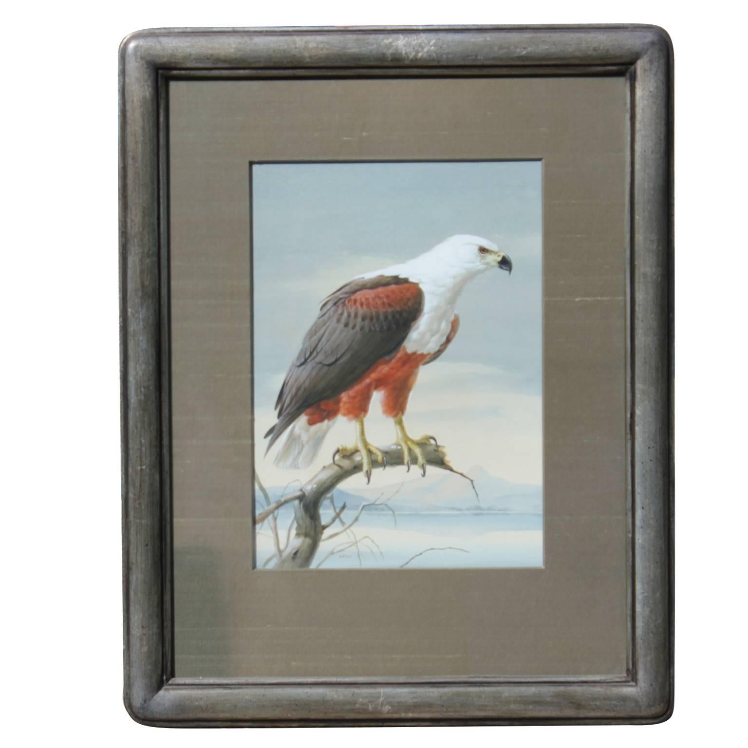Rena Fennessy Animal Painting - Photorealist Eagle Painting
