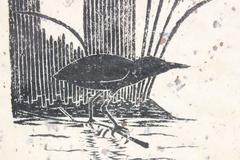 Little Green Heron Bird Block Print