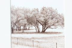 "Near Beecave, TX" Pen and Ink Landscape Drawing