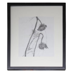 "Flowers 1" Graphite Drawing