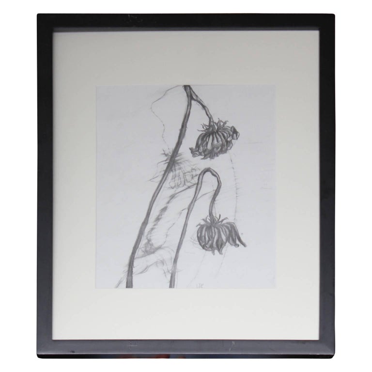 Lindsay Payton Still-Life - "Flowers 1" Graphite Drawing