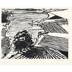 Delta River and Farms 4
