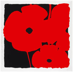 Red Poppy