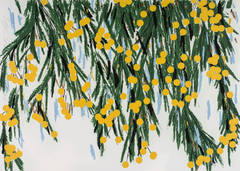 Yellow Mimosas
