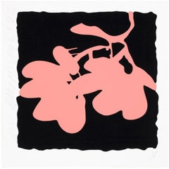 Lantern Flowers, May 10, 2012 (Coral), Donald Sultan