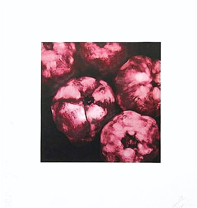 This screenprint from the 'Fruits and Flowers Suite' was created by the artist in 1994. From the signed, dated and numbered edition of 125.

Accompanied by Certificate of Authenticity from Michael Lisi Contemporary Art.