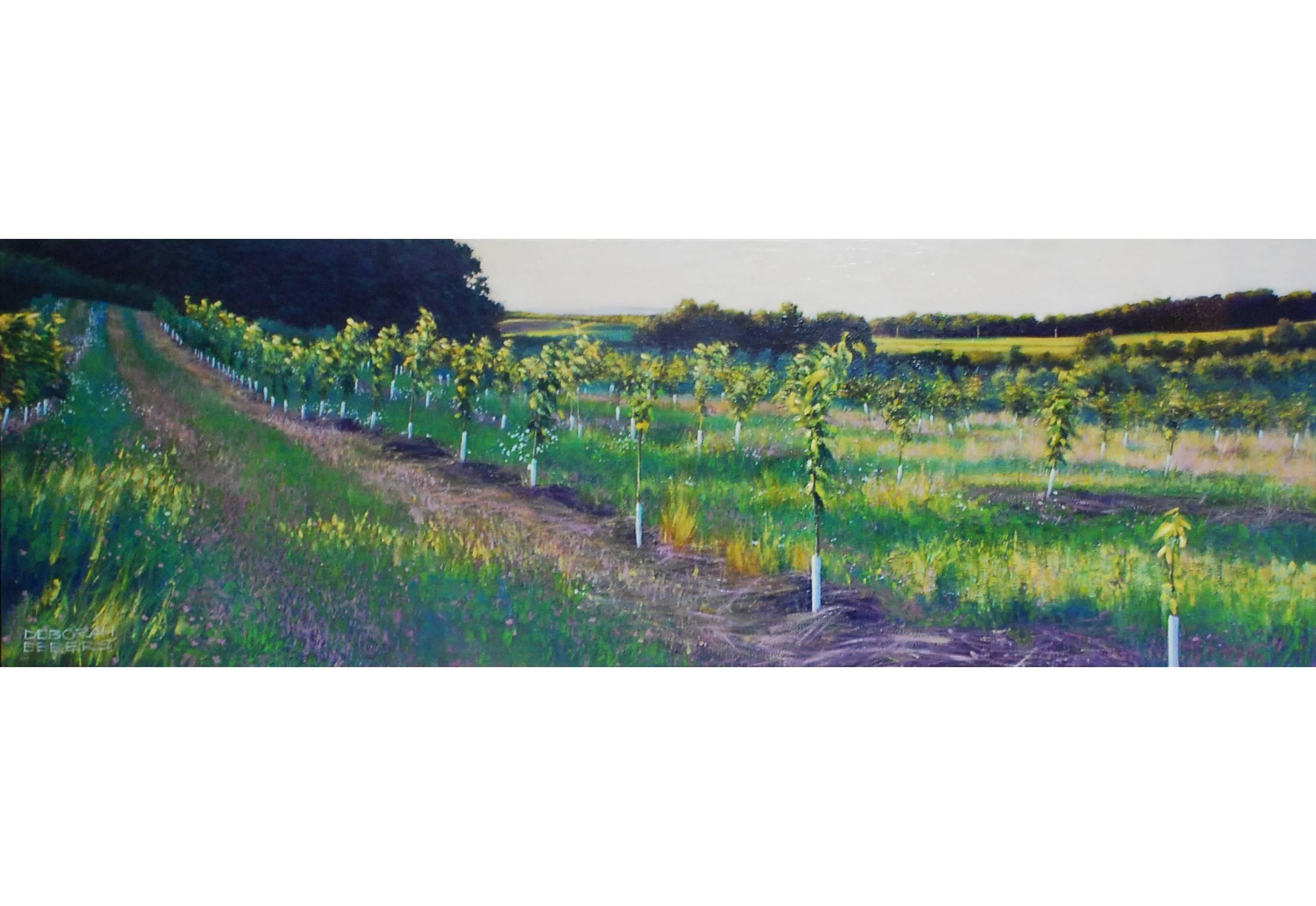 Deborah Ebbers Landscape Painting - Orchard Path - Original Oil Painting of Orchard and Hills Bathed in Spring Light