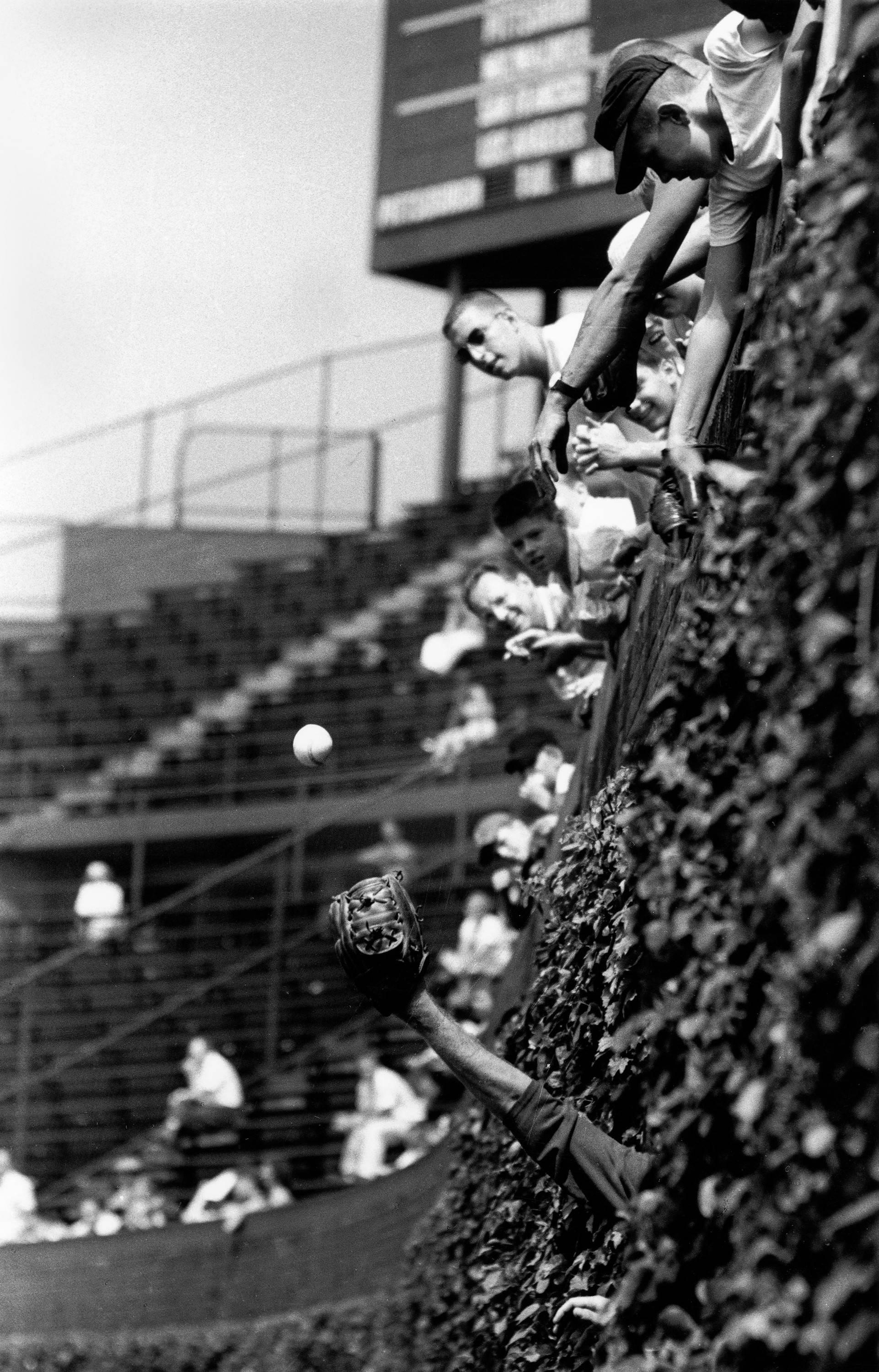 Art Shay Black and White Photograph - Field Practice in the Wrigley Vines, Chicago, 1961