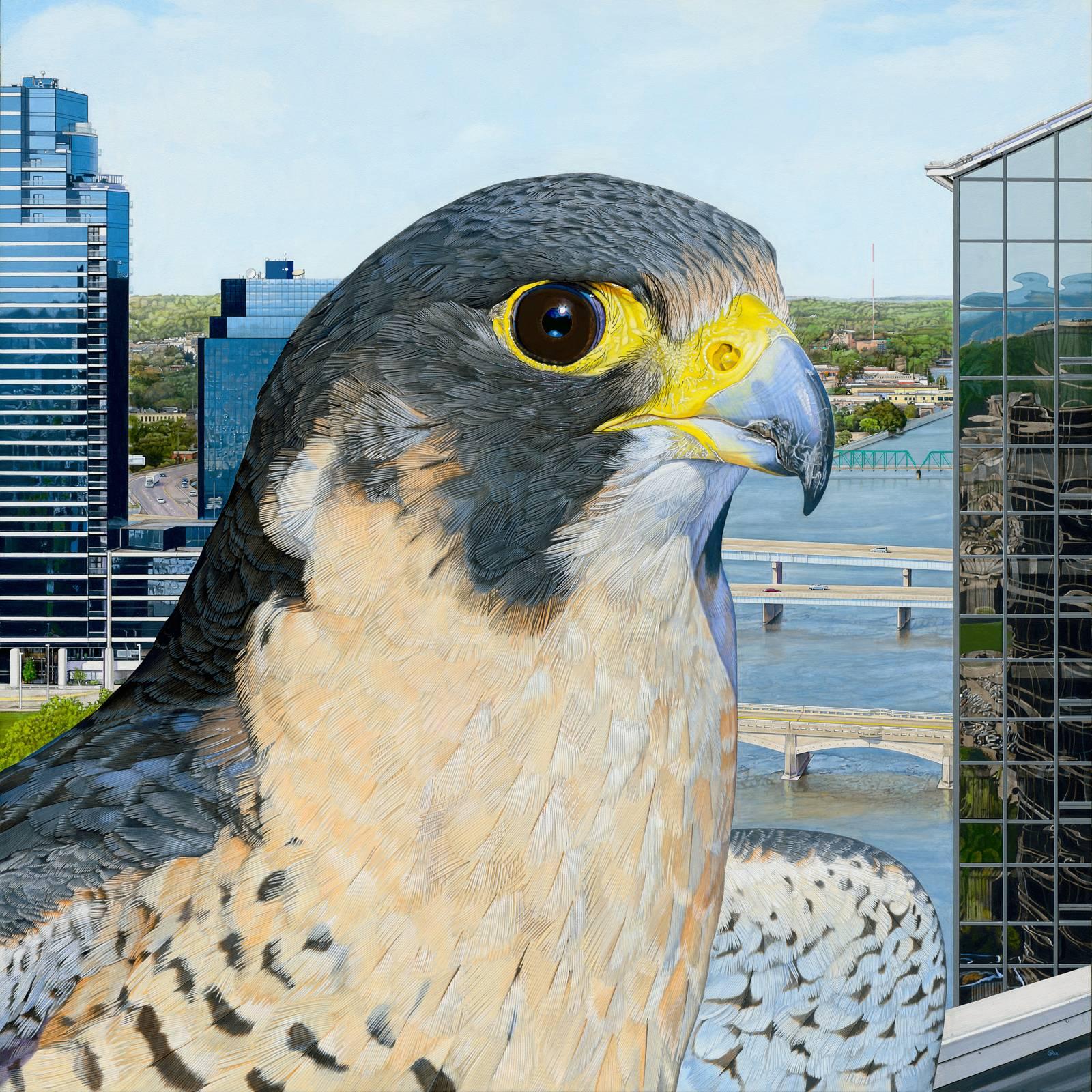 Peregrine City - Photorealist Painting of a Peregrine Falcon in an Urban Setting