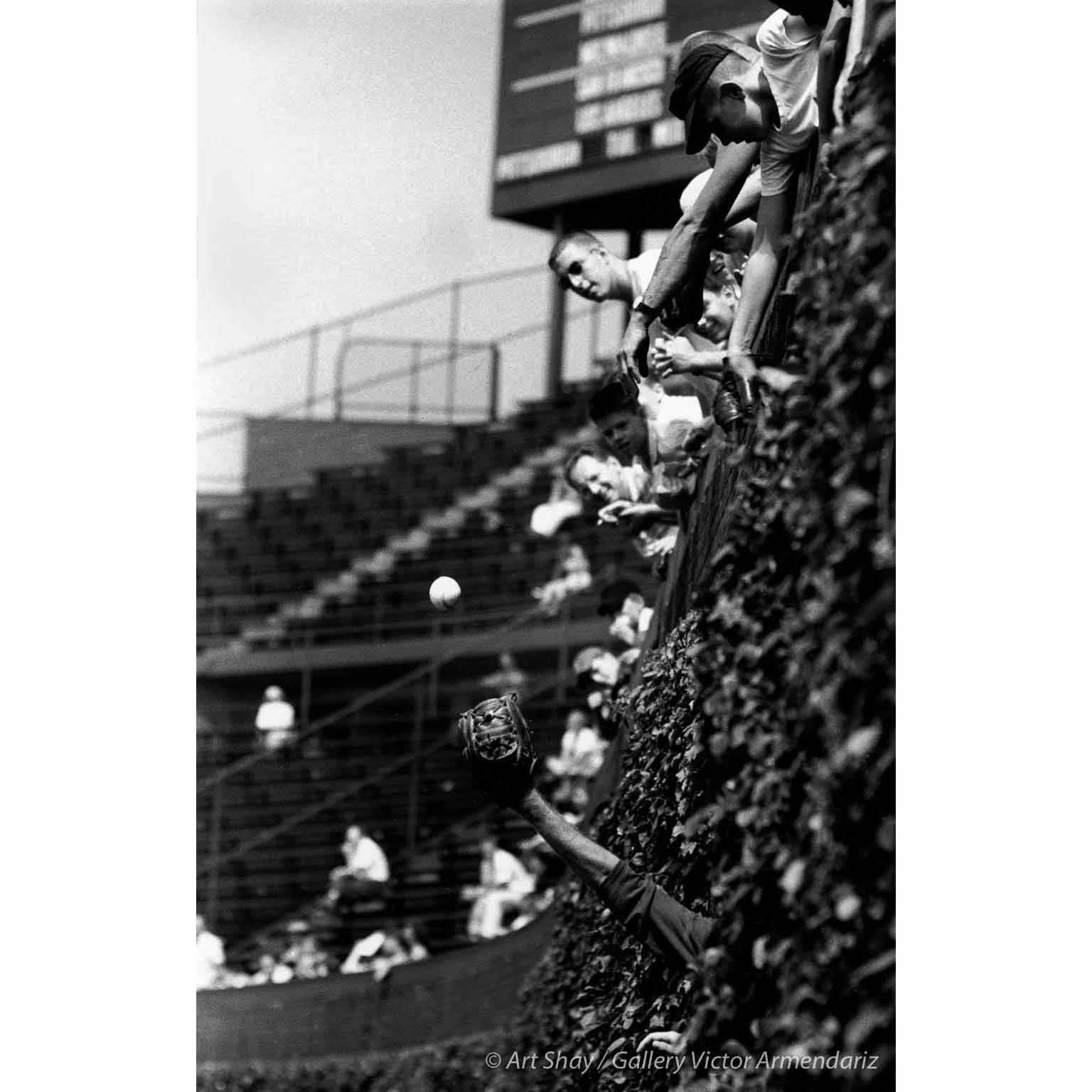 Field Practice in the Wrigley Vines, Chicago, 1961 - Photograph by Art Shay